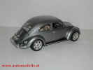 son bbu kaefer antrazith002.jpg (50409 Byte)